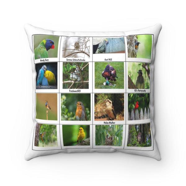 Exceptional Bird Photography (Version 5)