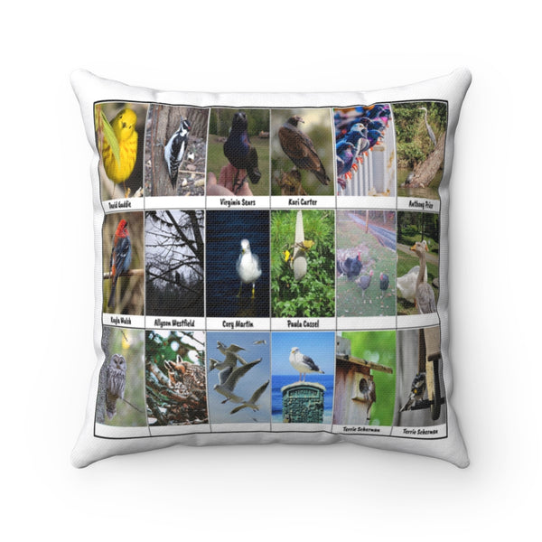 Striking Bird Photography (Version 5)