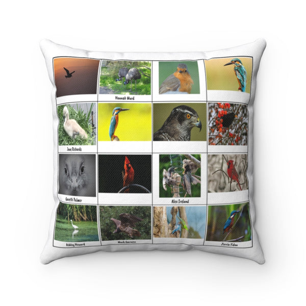 Fabulous Bird Photography (Version 2)