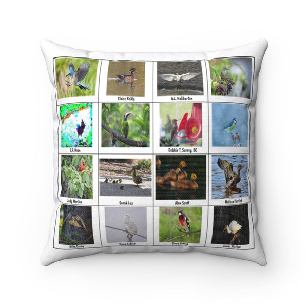 Awe-Inspiring Bird Photography (Version 2)