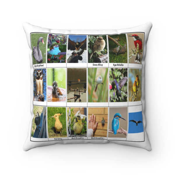 Fantastic Bird Photography (Version 6)