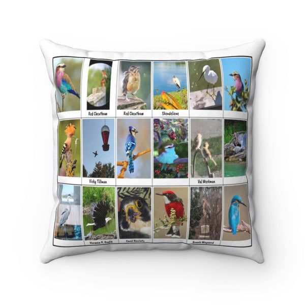 Sensational Bird Photography (Version 5)