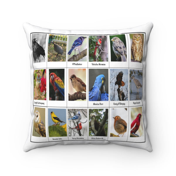 Superb Bird Photography (Version 6)