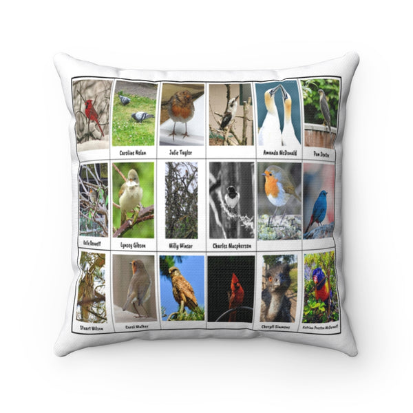 Excellent Bird Photography (Version 2)