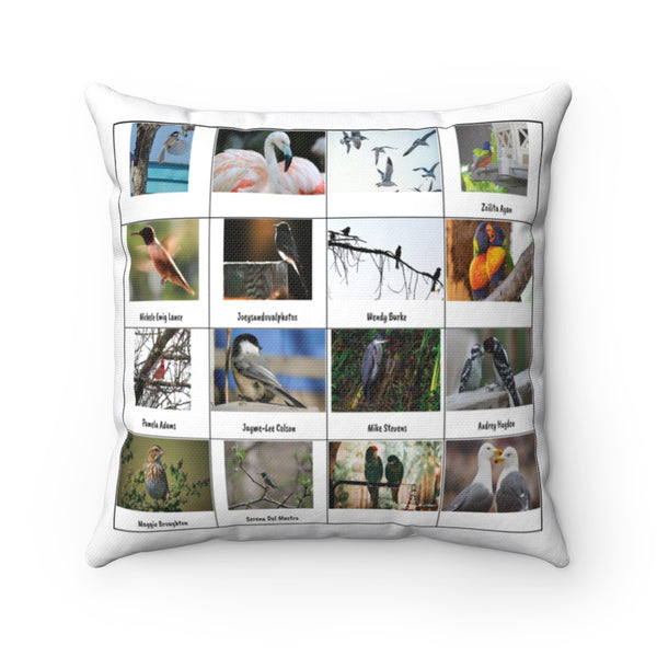 Special Bird Photography (Version 5)