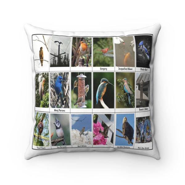 Fascinating Bird Photography (Version 1)