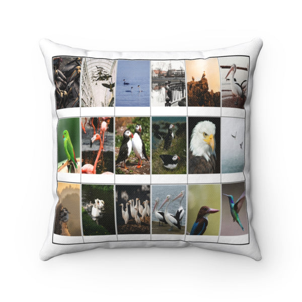 Delightful Birds (Version 8)