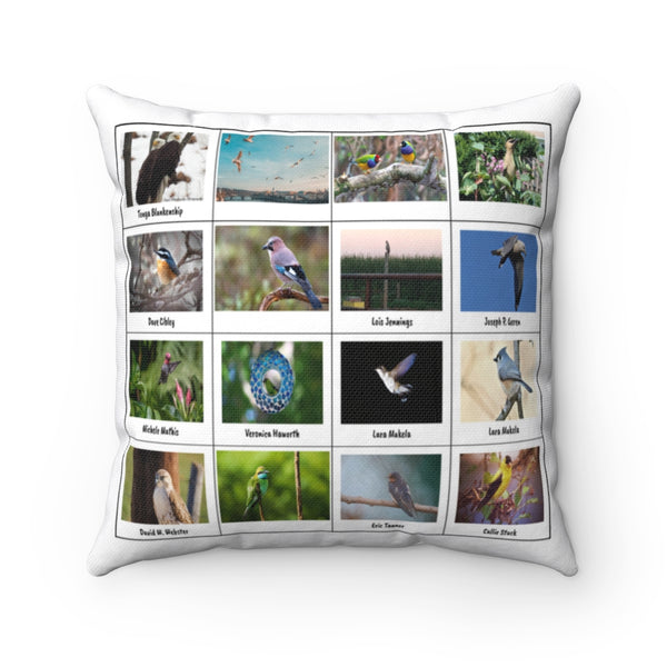 Unbelievable Bird Photography (Version 3)