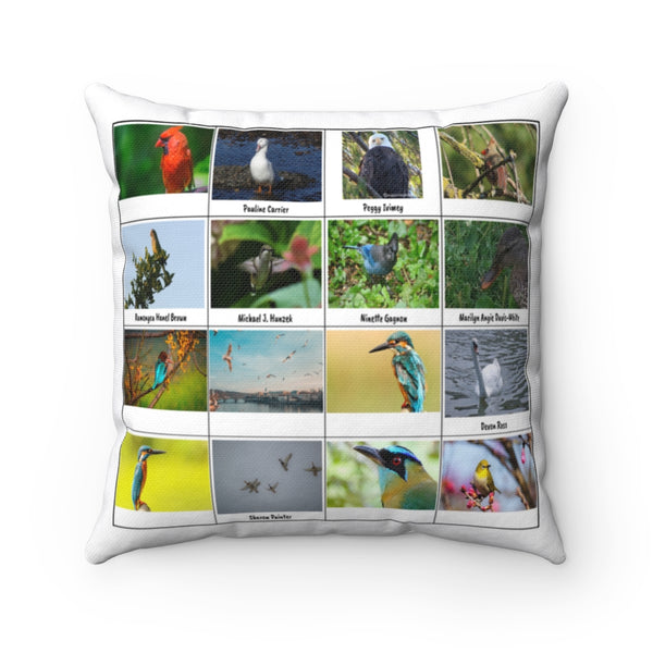 Ravishing Bird Photography (Version 3)