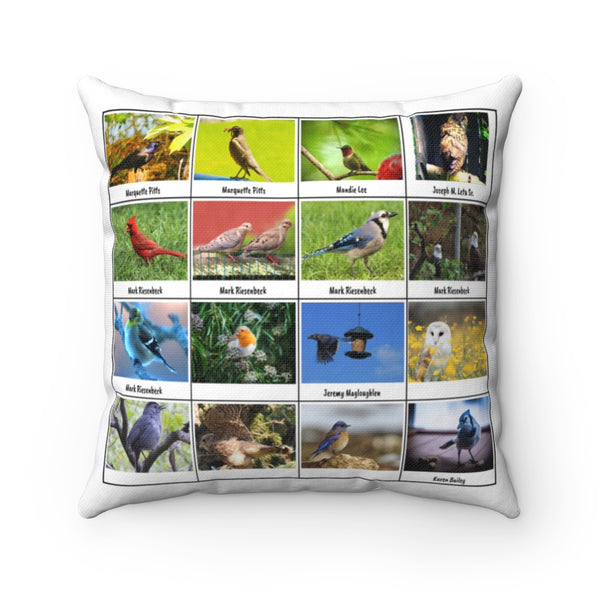 Astonishing Bird Photography (Version 1)