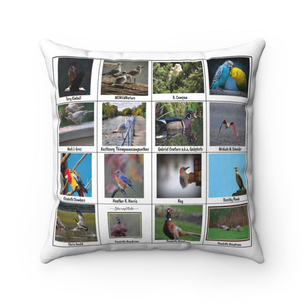 Awe-Inspiring Bird Photography (Version 5)