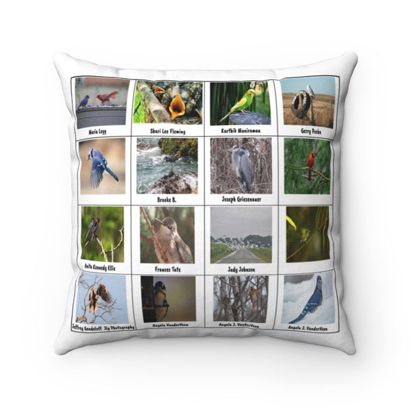 Glorious Bird Photography (Version 4)