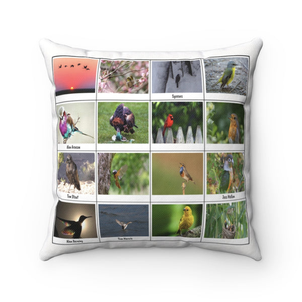 Fascinating Bird Photography (Version 3)