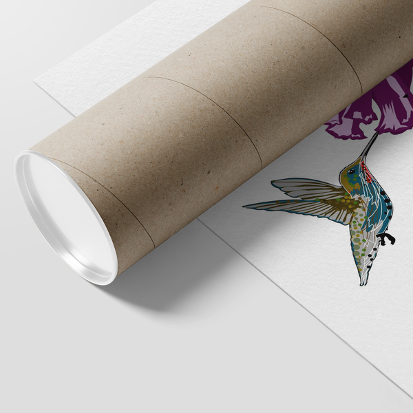 Hummingbird Poster