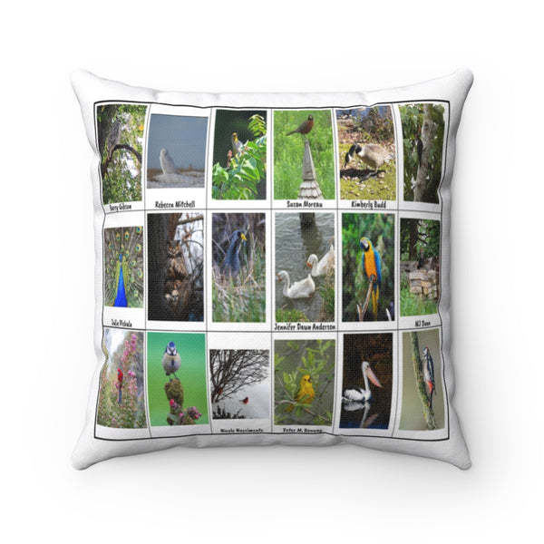 Bird Photography (Version 4)