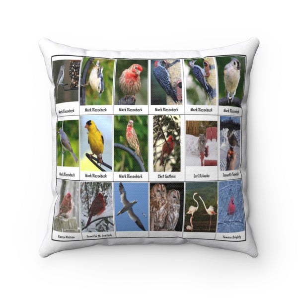 Special Bird Photography (Version 7)