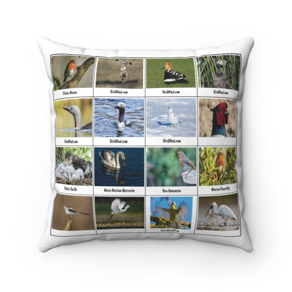 Dynamic Bird Photography (Version 8)
