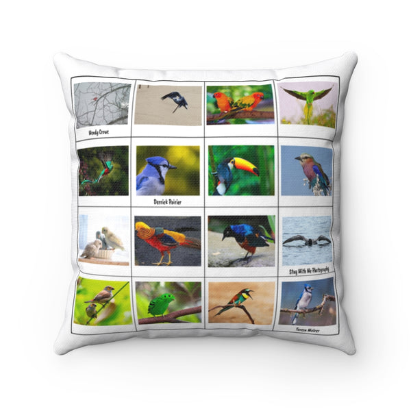 Terrific Bird Photography (Version 7)