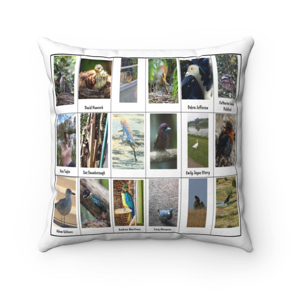Delightful Bird Photography (Version 4)