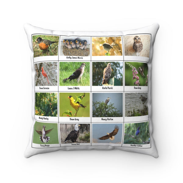 Outstanding Bird Photography (Version 2)