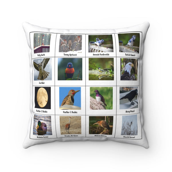Dazzling Bird Photography (Version 3)