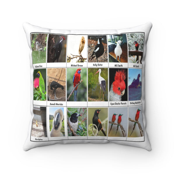 Amazing Birds (Version 4)