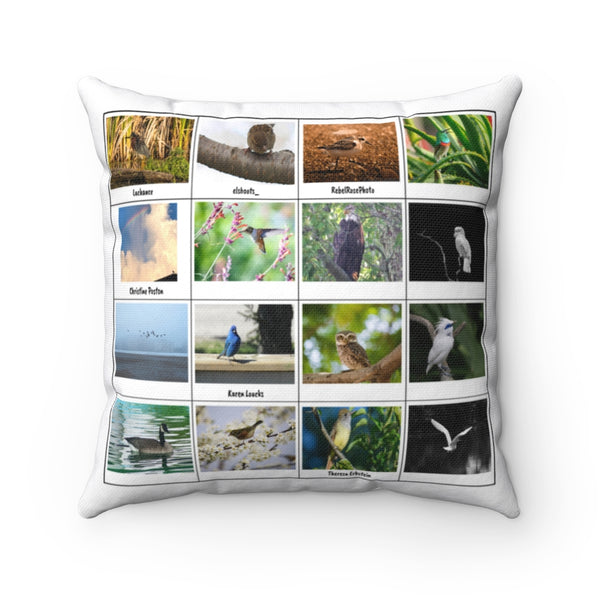 Extraordinary Bird Photography (Version 4)