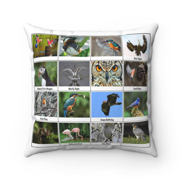 Fantastic Bird Photography (Version 5)