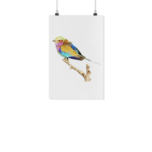 Lilac-breasted Roller Poster