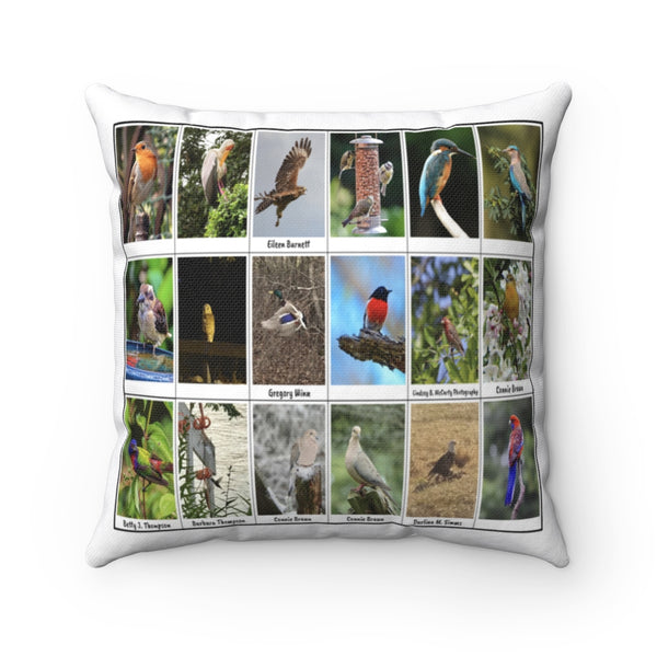 Extraordinary Birds (Version 1)