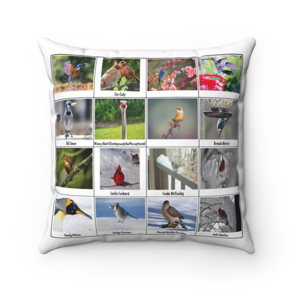 Sensational Bird Photography (Version 1)