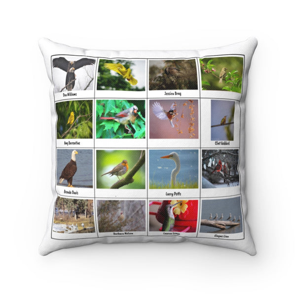 Extraordinary Bird Photography (Version 1)