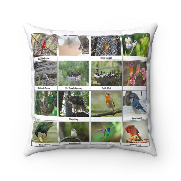 Great Bird Photography (Version 4)