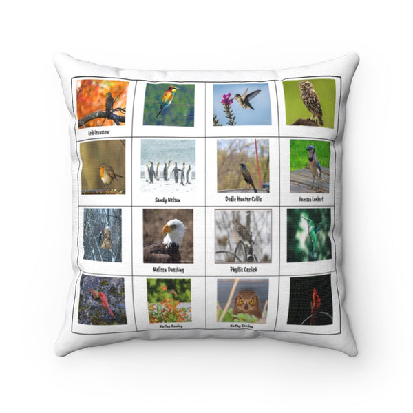 Astounding Bird Photography (Version 3)