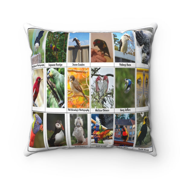 Charming Bird Photography (Version 5)