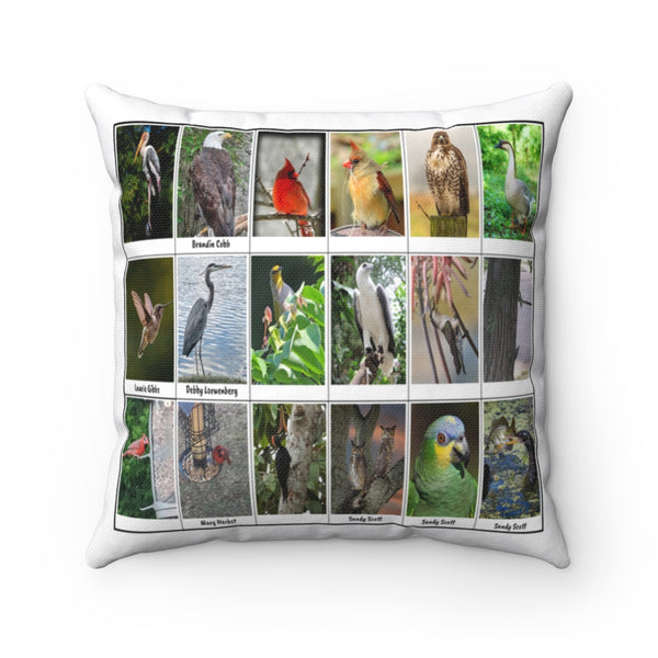 Magnificent Bird Photography (Version 2)