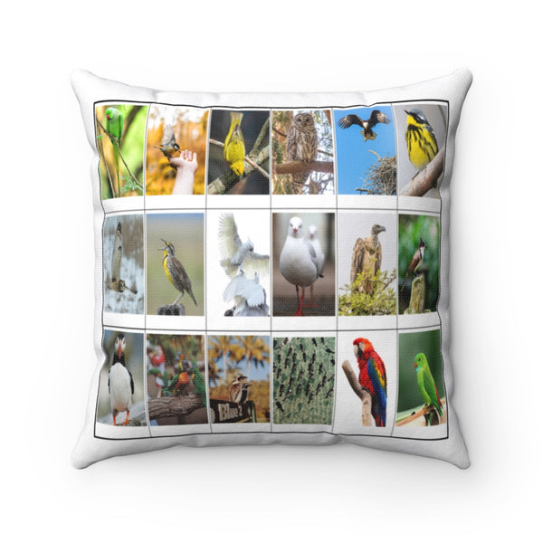 Unbelievable Bird Photography (Version 8)