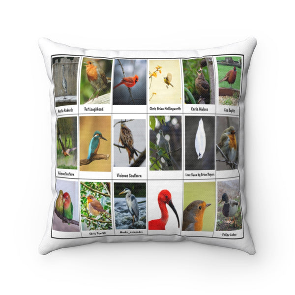 Excellent Bird Photography (Version 5)