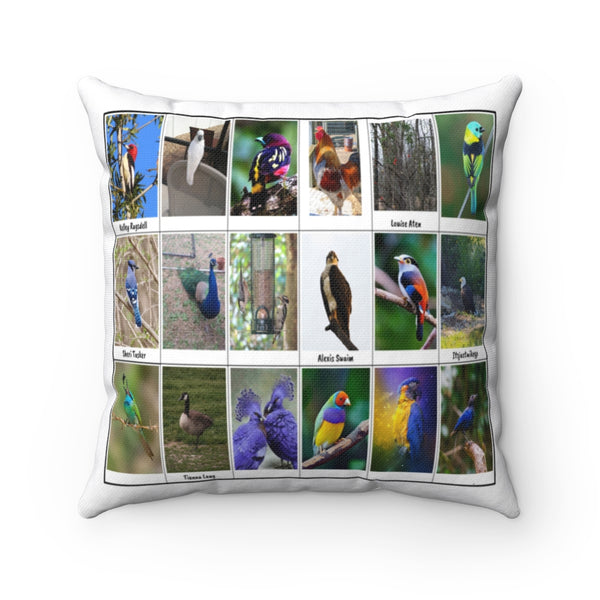 Sensational Bird Photography (Version 2)