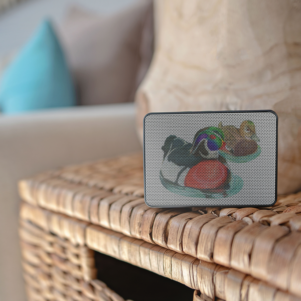 Wood Duck Bluetooth Speaker Boxanne