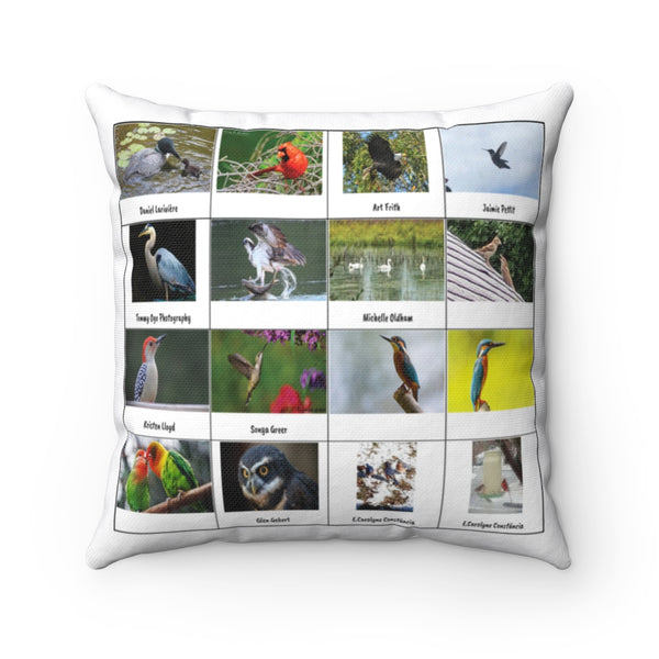 Special Bird Photography (Version 2)