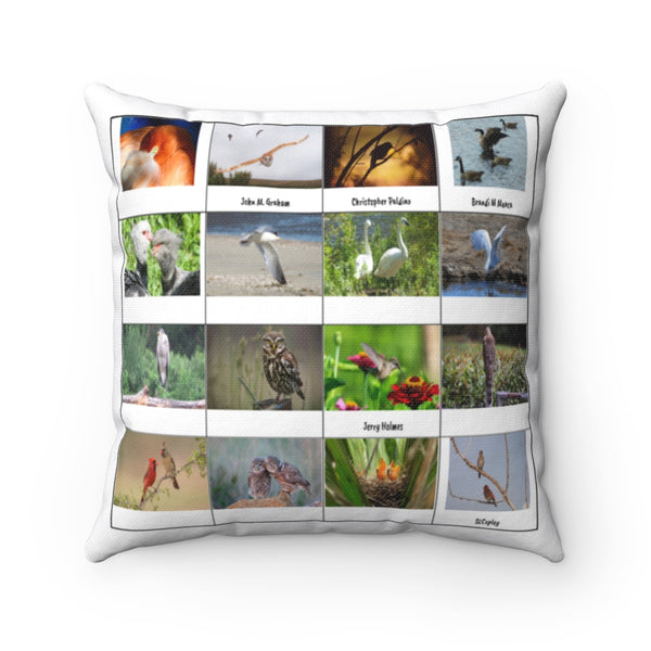 Lovely Bird Photography (Version 8)