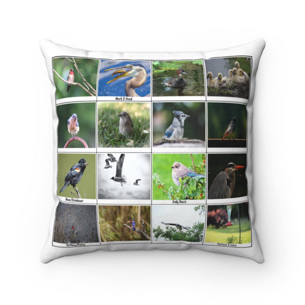 Stunning Bird Photography (Version 6)