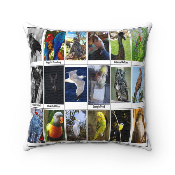 Charming Bird Photography (Version 2)