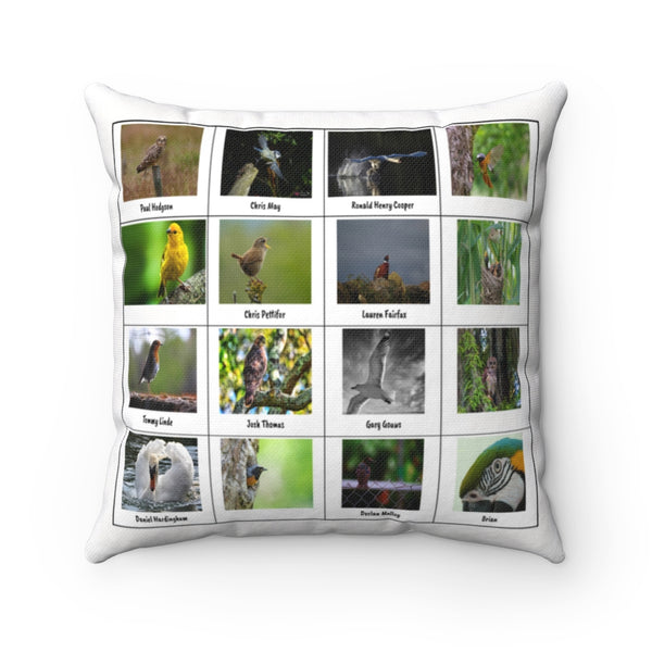 Spectacular Bird Photography (Version 8)