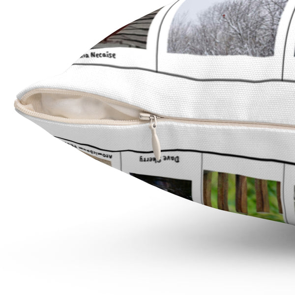 Unbelievable Bird Photography (Version 6)