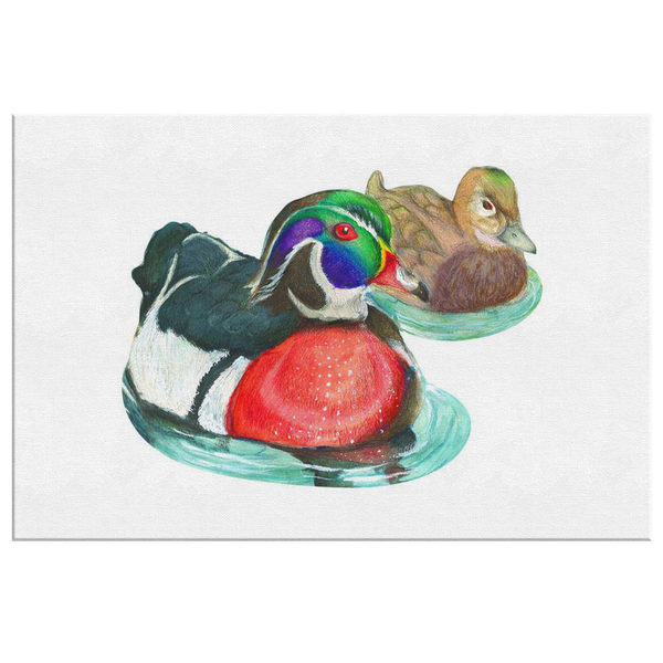 Wood Duck Canvas Wrap