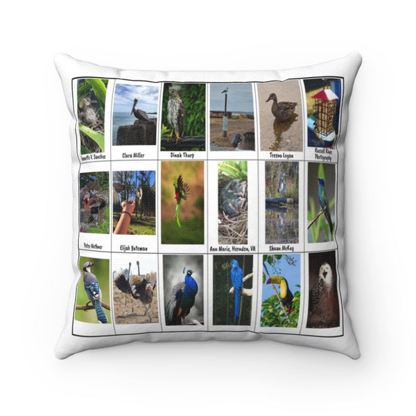 Awe-Inspiring Bird Photography (Version 7)