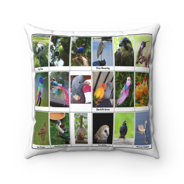 Fantastic Bird Photography (Version 4)