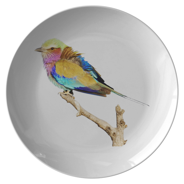 Lilac-breasted Roller Plate